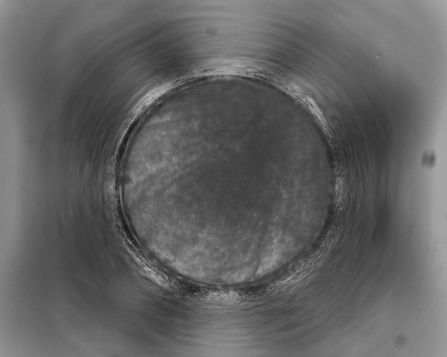 X0000097950882200804071002