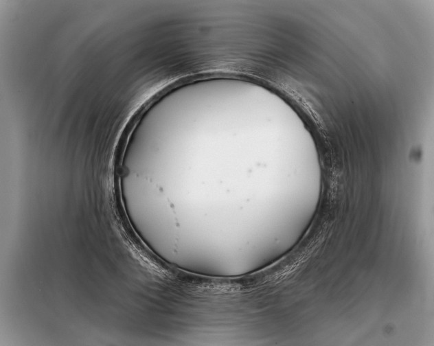X0000097950884200804071002