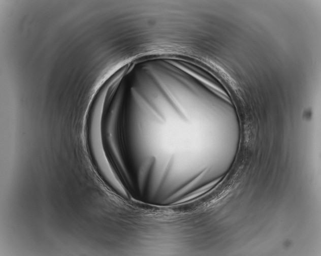 X0000097950885200804071002