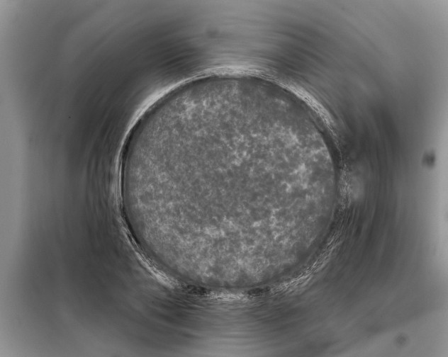 X0000097950886200804071002