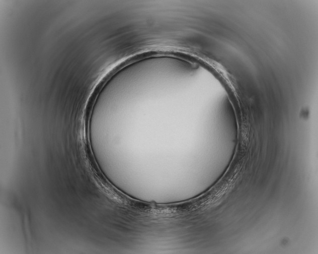 X0000097950887200804071002