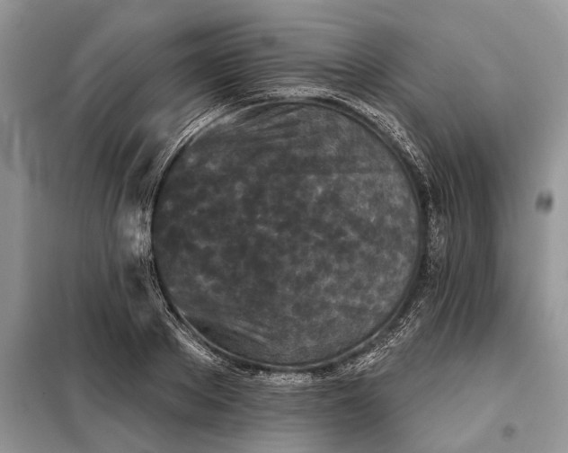 X0000097950889200804071002