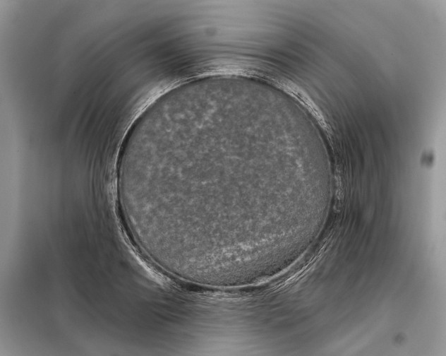 X0000097950890200804071002