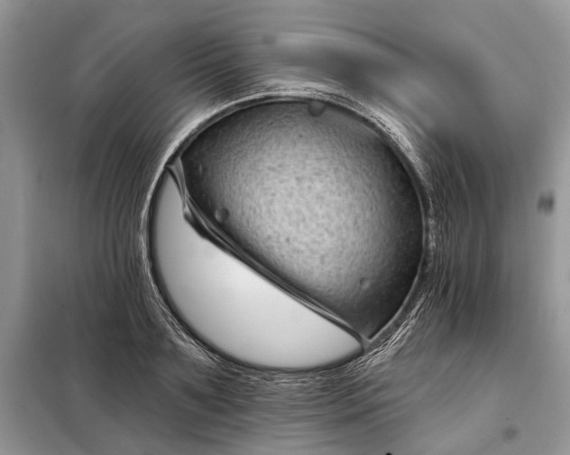 X0000097950891200804071002