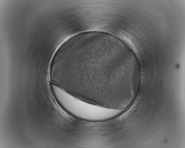 X0000097950892200804071002