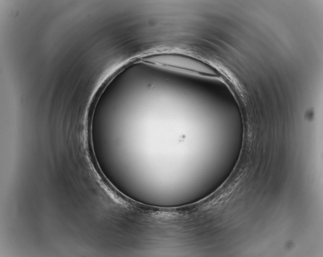 X0000097950894200804071002