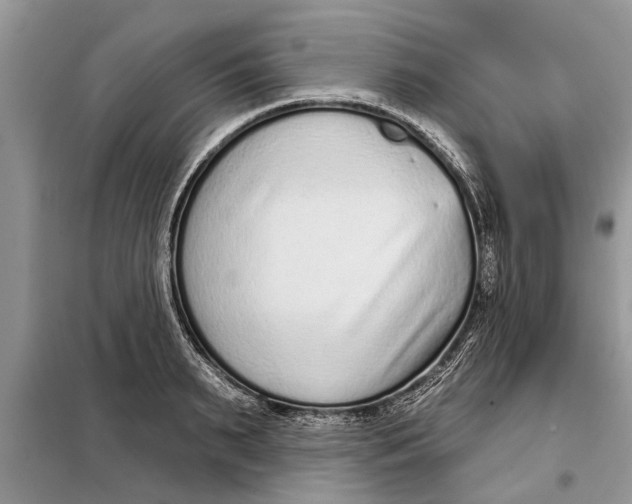 X0000097950895200804071002