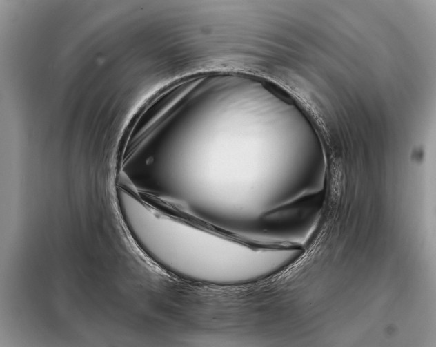 X0000097950896200804071002