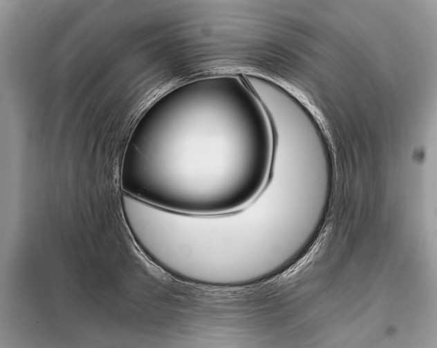 X0000097950897200804071002