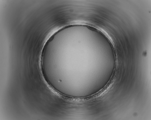X0000097950901200804071002