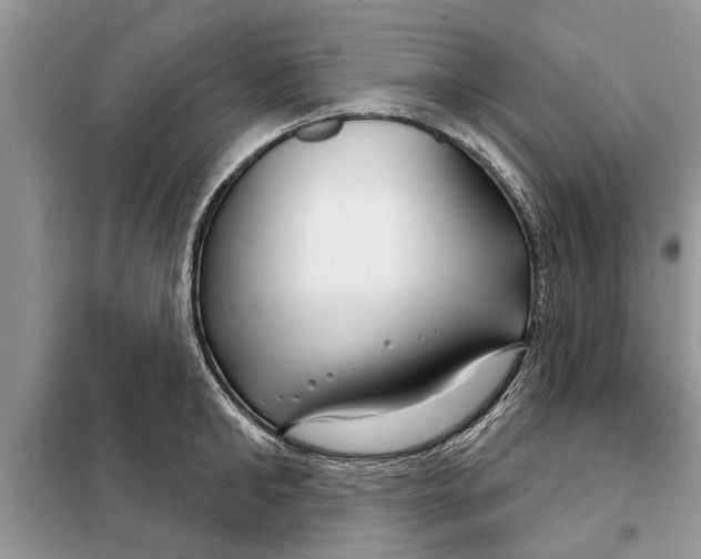 X0000097950902200804071002