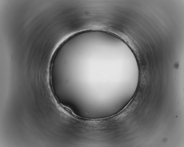 X0000097950904200804071002