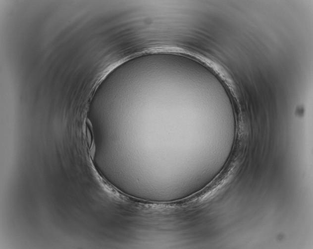 X0000097950905200804071002