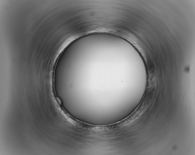 X0000097950906200804071002