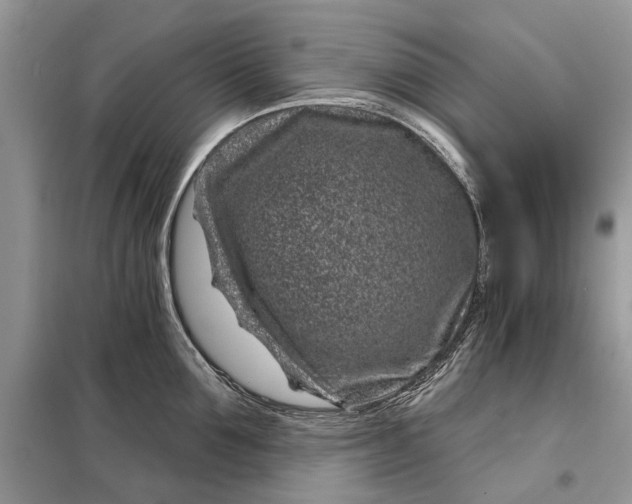 X0000097950907200804071002