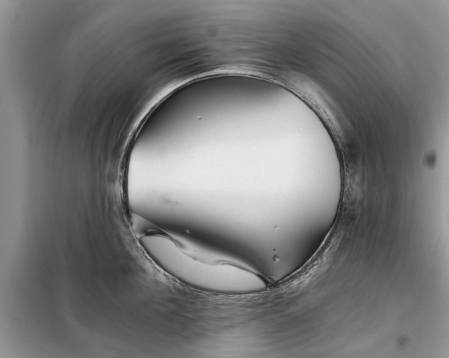 X0000097950908200804071002