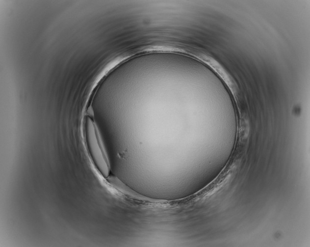 X0000097950909200804071002