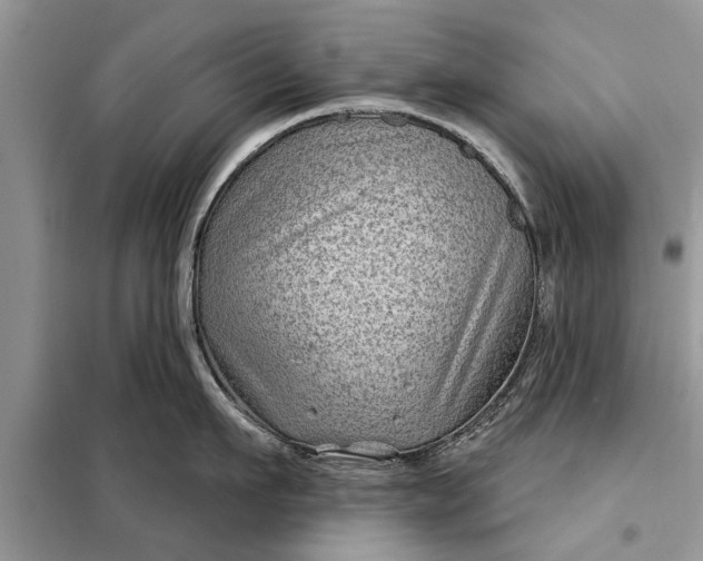X0000097950911200804071002