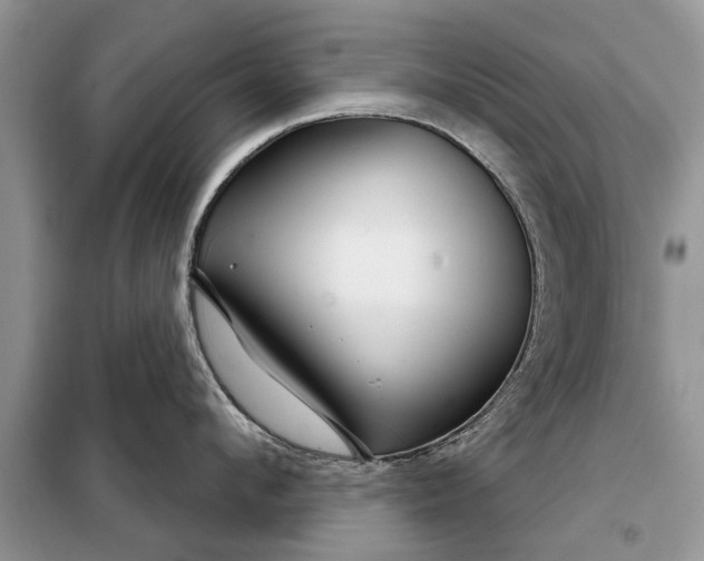 X0000097950912200804071002