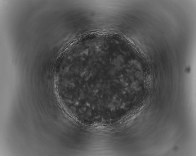 X0000097950913200804071001