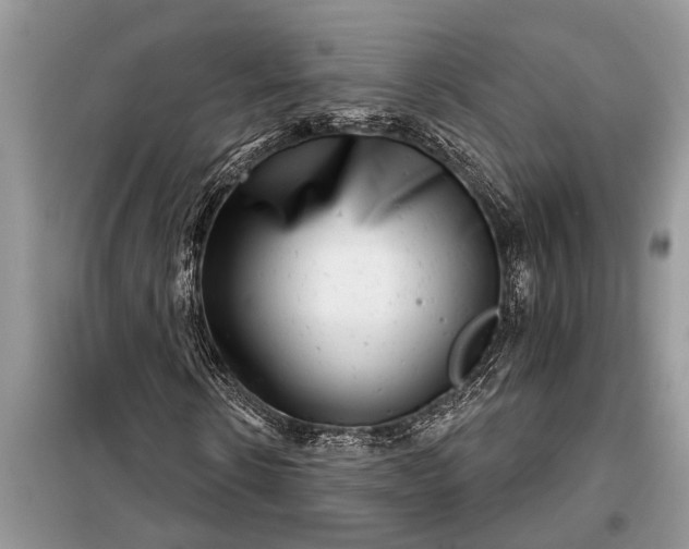 X0000097950914200804071001