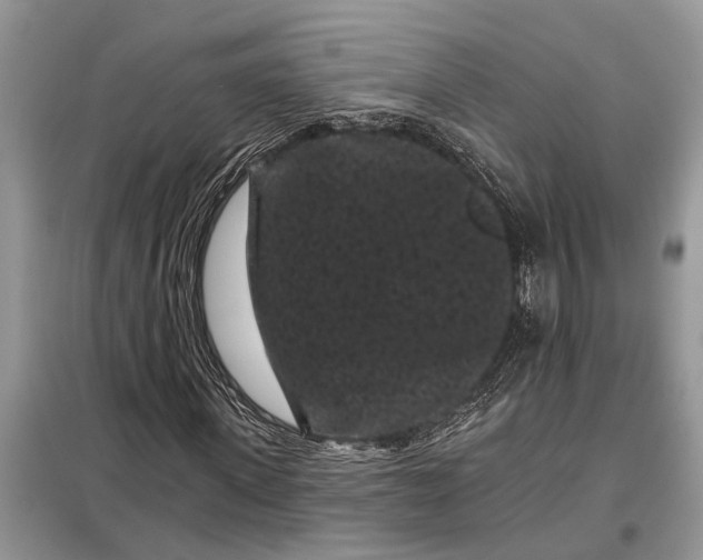 X0000097950915200804071001