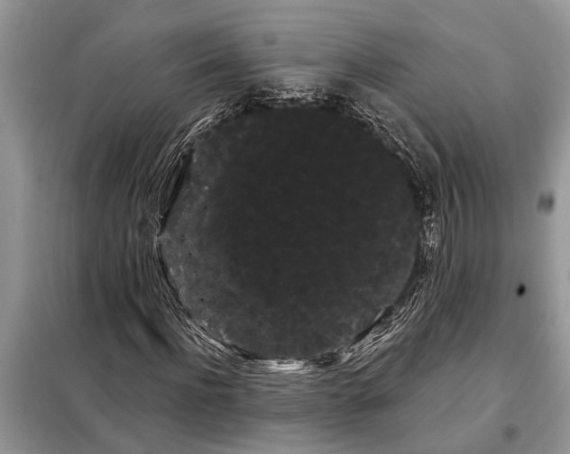 X0000097950916200804071001