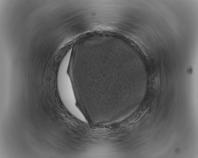X0000097950919200804071001