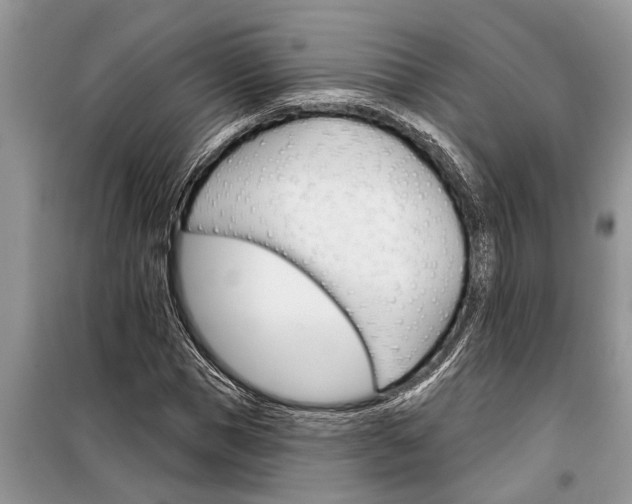 X0000097950921200804071001