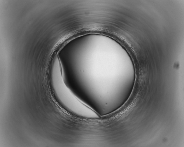 X0000097950922200804071001
