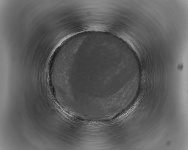 X0000097950923200804071001