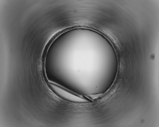 X0000097950924200804071001