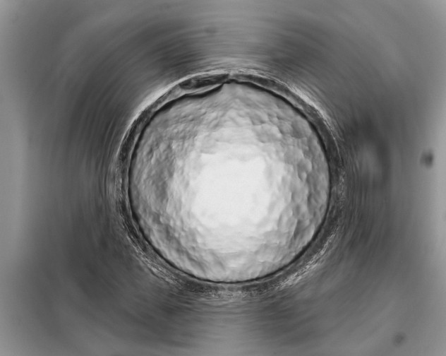 X0000097950925200804071001