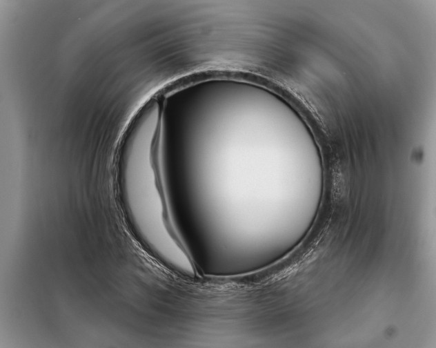X0000097950926200804071001