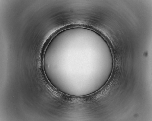 X0000097950927200804071001