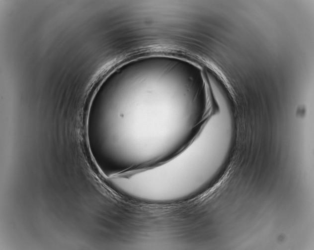 X0000097950930200804071001