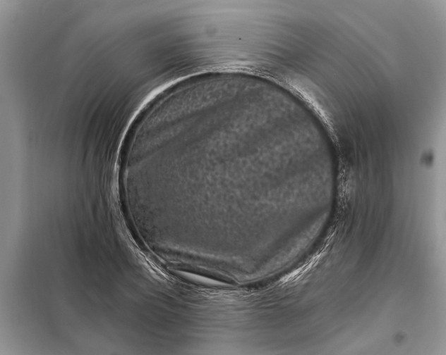 X0000097950932200804071001