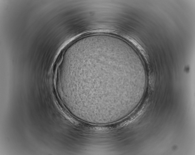 X0000097950933200804071001