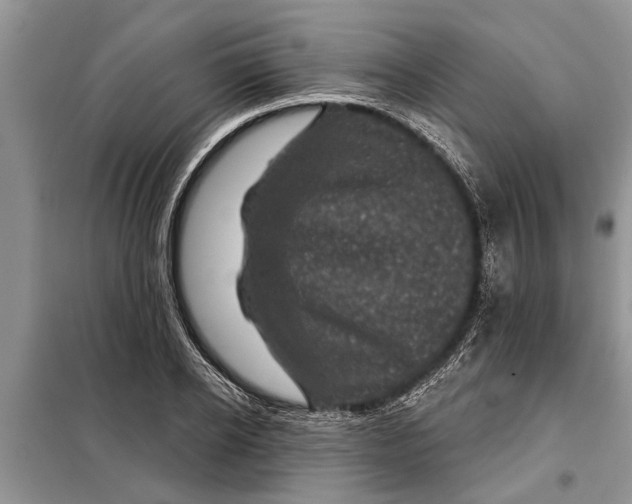 X0000097950934200804071001