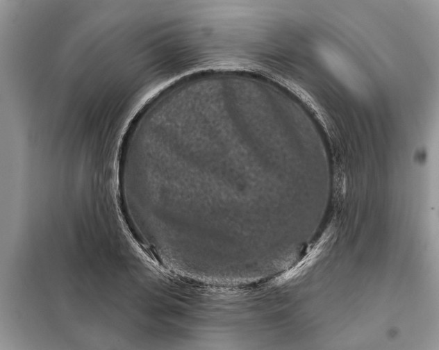 X0000097950935200804071001