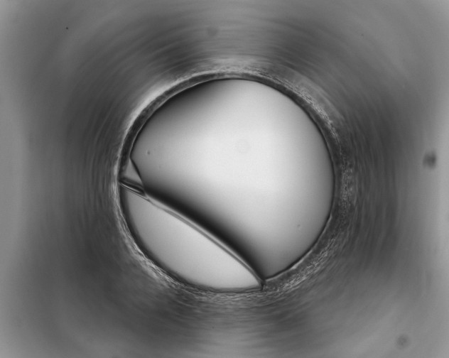 X0000097950936200804071001