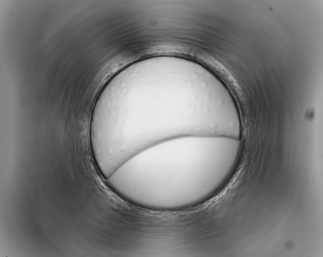 X0000097950937200804071001