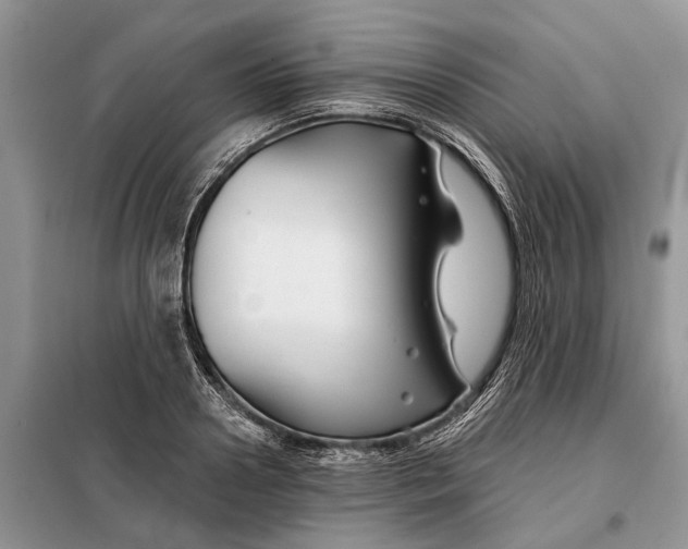 X0000097950938200804071001