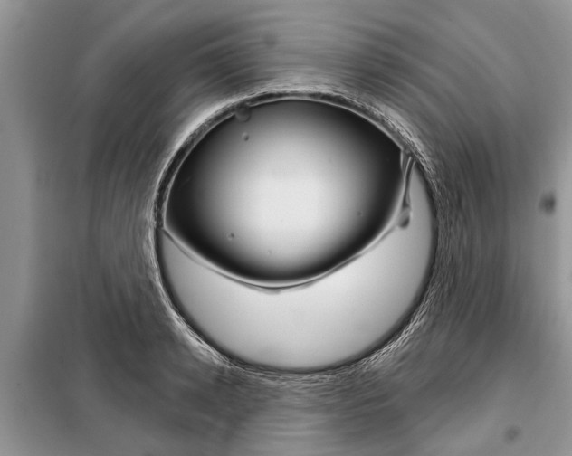 X0000097950942200804071001