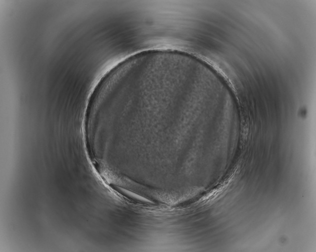 X0000097950943200804071001