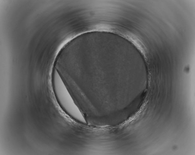X0000097950944200804071001