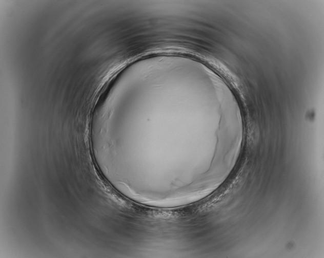 X0000097950945200804071001