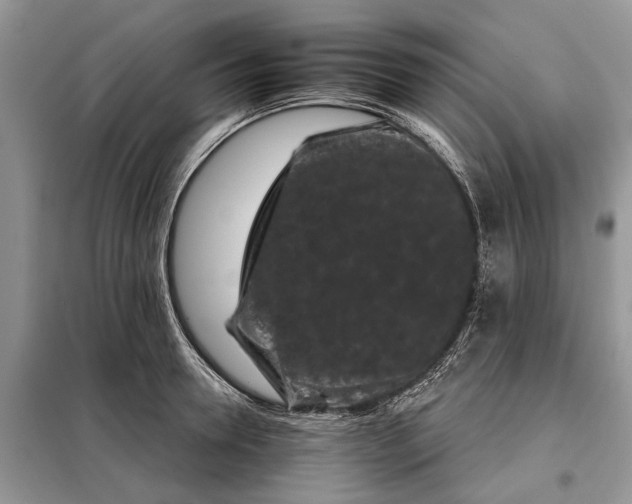 X0000097950946200804071001