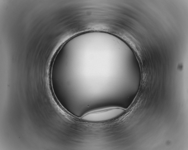 X0000097950947200804071001