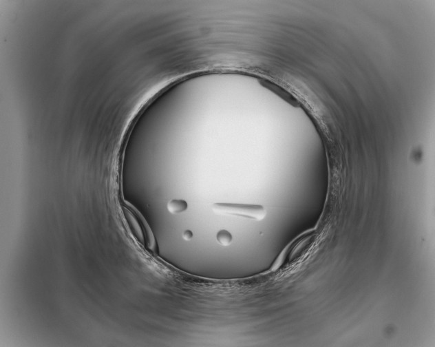 X0000097950948200804071001
